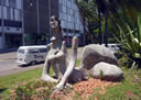 UFSM_08.jpg