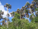 GC139.jpg