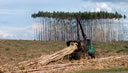 GC81.jpg