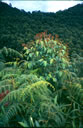 F2_GC104.jpg