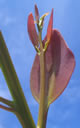 F2_GC112.jpg
