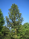 F2_GC122.jpg