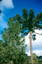 F2_GC126.jpg