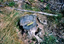 GC125.jpg