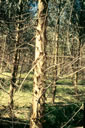 F3_GC04.jpg