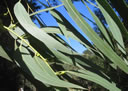 F3_GC08.jpg