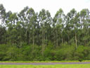 F3_GC104.jpg