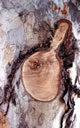 F3_GC120.jpg