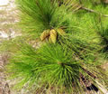 F3_GC134.jpg