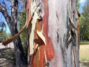 F3_GC139.jpg