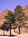 F3_GC142.jpg