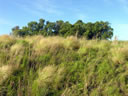 F3_GC159.jpg