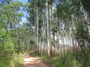 F3_GC54.jpg
