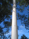 F3_GC59.jpg