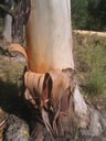 F3_GC60.jpg