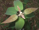F3_GC64.jpg