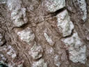 F3_GC79.jpg