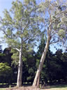 F4_GC05.jpg