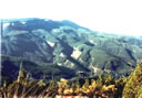 F4_GC106.jpg
