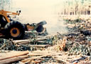 F4_GC107.jpg