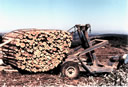 F4_GC108.jpg