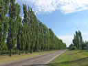 F4_GC12.jpg