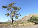 F4_GC19.jpg