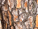 F4_GC59.jpg