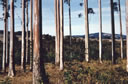 F4_GC69.jpg