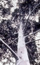 F4_GC72.jpg