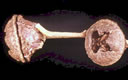 F4_GC76.jpg