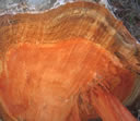 GCM120.jpg