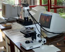 GCM37.jpg