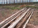 GCM42.jpg