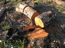 GCM2_112.jpg
