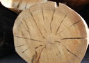 GCM2_41.jpg