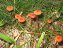 GCA2_74.jpg