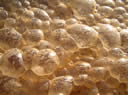 GCA2_94.jpg
