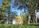 GCA2_95.jpg