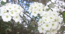 GCA3_09.jpg