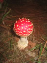 GCA3_103.jpg