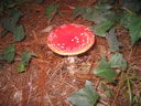 GCA3_104.jpg