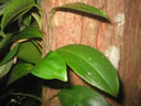 GCA3_110.jpg