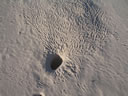 GCA3_116.jpg
