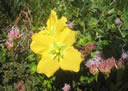 GCA3_119.jpg