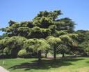 GCA3_123.jpg