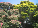 GCA3_124.jpg