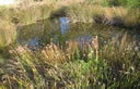 GCA3_127.jpg