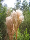 GCA3_144.jpg