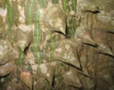 GCA3_149.jpg